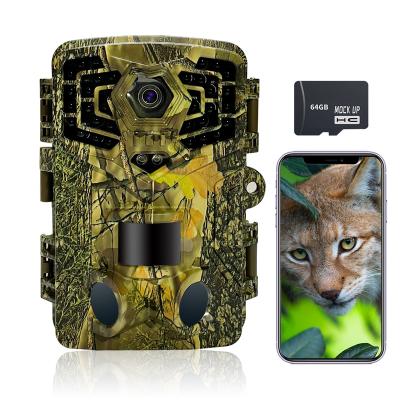 China Sensvision Weather-Resistant Digital Hunting Trail Camera 32MP 1080P Wireless Waterproof Camera Night Vision for sale