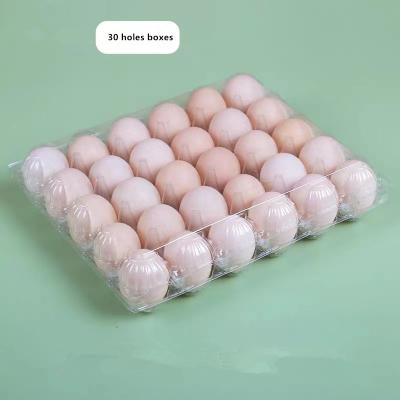 China All Custom Packed 30 Egg Transparent Blister Plastic Tray for sale