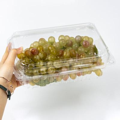 China Food Customized Disposable Fruit Packaging Box for sale