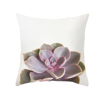 China Anti-static Succulent Plants Pattern Decoration Tile Covers, Decorative Pillow Shapes Soft Square Cushion Covers for sale