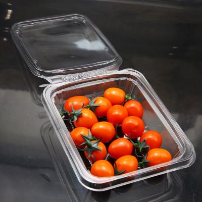 China Recyclable Plastic Mood Tear Lid Vacuum Shaped Visible Food Container for sale