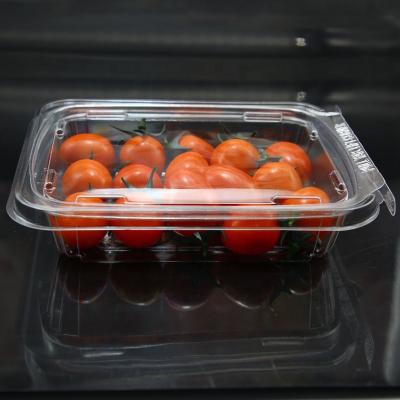 China Recyclable Plastic Blister PET Fruit Clamshell With Hinged Lid for sale