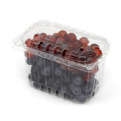 China Disposable Custom Fruit Blister Clamshell Packaging Clear Plastic Clamshell For Grape 500g for sale