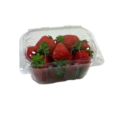 China Disposable Plastic Fruit Clamshell Disposable Clamshell For Cherry Tomato Packing 250g for sale