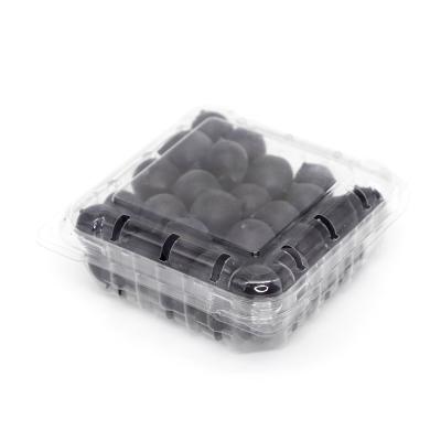 China Clamshell 125g 4.4 Oz Disposable Blueberry Plastic Fruit Clamshell Packaging for sale