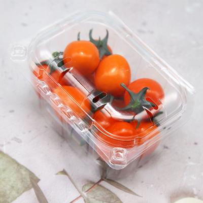 China 250gram Recyclable Cherry Tomato Vacuum Formed Fruit Caddy Container for sale