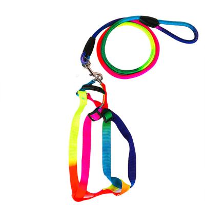 China High Quality Custom Dog Logo Dog Harness And Leash Set Colorful Adjustable Nylon for sale