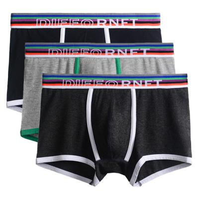 China Anti-Static Custom Premium Mens Underwear Boxer Briefs Trunks Bikini With Comfortable Cotton Bamboo Modal Nylon Plus Size Underwear Mens for sale