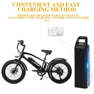 China Standard Ebike 750W Amazon Hotsale Powerful Mountain Offroad Tires Free EU Shipping for sale