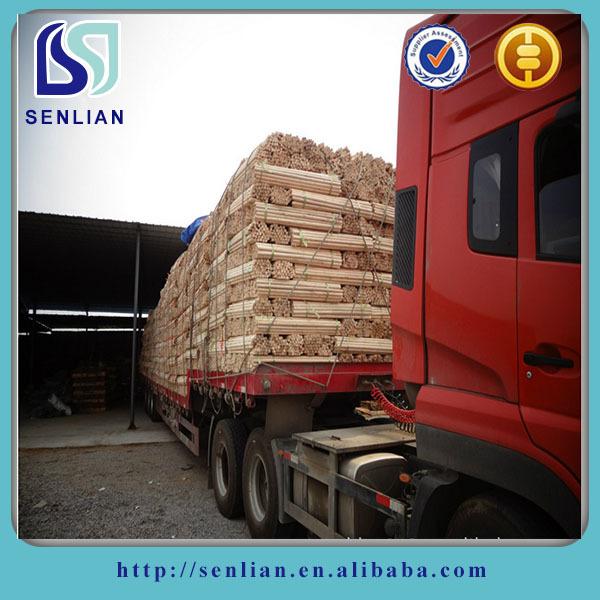 Verified China supplier - Guigang Senlian Trading Co., Ltd.