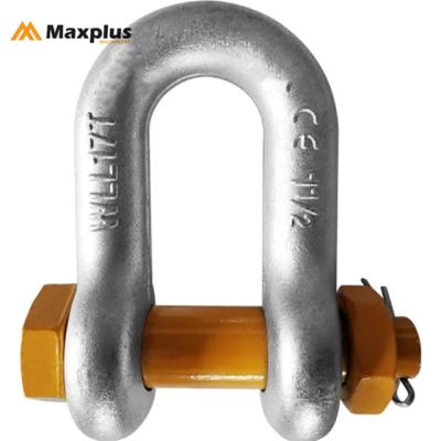 China Heavy Industry US Type Lifting G2150 Screw Pin D Shackle for sale