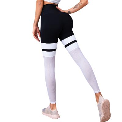 China Fashion Breathable Mesh Leggings High Waist Yoga Pants Butt Lift Tights Yoga Pants Butter Soft Gaiters for sale