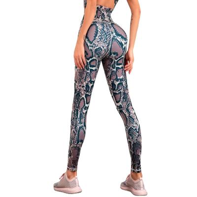 China High Quality Workout Serpentine Print Yoga Pants Fitness Sportswear New Design Women Breathable Yoga Gaiters for sale