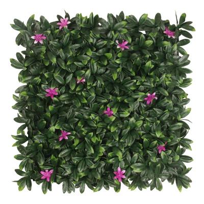 China Wall Decoration 50*50cm Artificial Green Grass Boxwood Wall decorative Panels Indoor and Outdoor Decoration for sale