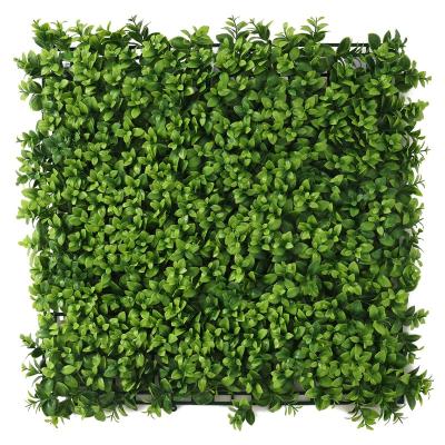 China Wall Decoration 50*50cm Anti-UV Plastic Hanging Artificial Plant Grass Wall for Wall Decoration Artificial Plant Wall Boxwood Panels for sale