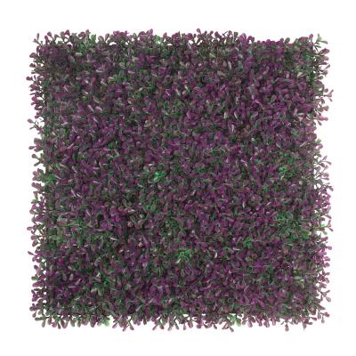 China Wall Decoration 50*50cm Artificial Boxwood Panels Topiary Hedge Artificial Greenery Panels for Wall Garden Decoration for sale