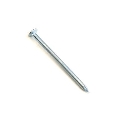 China 2 Inch Flat Iron Wire Nail Steel Common Nail Made In Flat Head Diamond Point Galvanized Common Nails From China Factory Price for sale