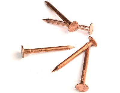 China Factory Good Quality Round Head Round Bright Smooth Shank Iron Flat Red Copper Clad Joint Nails for sale