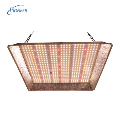 China Seed Starting lm301B 240W Full Spectrum Led Grow Light with 660nm Far Red for Indoor Plants Led Growlights for sale