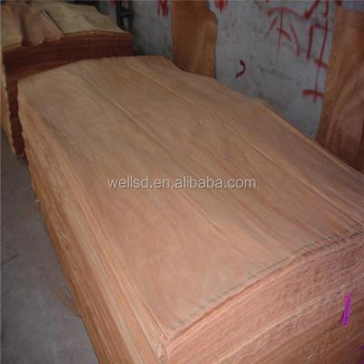 China wells Linyi PLB Face Veneer Rotary Cut Technics 0.15-0.4mm 22 cub meters MOQ Te koop