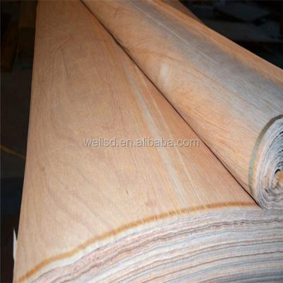 Cina Wells Natural Wood  PLB Face Veneer 0.3mm Grade A/B/C/D  Rotary Cut Technics in vendita