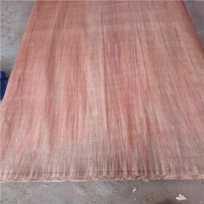 Κίνα PLB veneer for door skin/0.3mm PLB wood veneer sheet for plywood προς πώληση