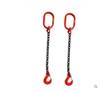 Cina WITH HOOKS 2 LEGS Double Legs Lifting Chain Sling/chain with hook in vendita