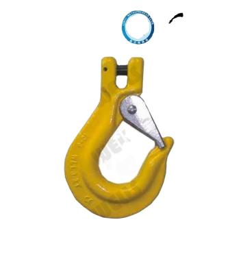 China forged cargo hook with latch  G80 Color Painted Roll-Forged alloy steel Te koop