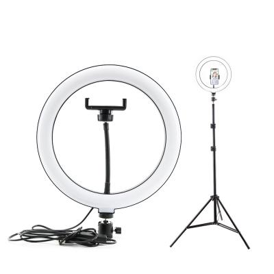 China Bokun dropship 10 inch PORTABLE 3000-5600K hot sale power 20W Amazon rated LED color room temperature ring light for sale