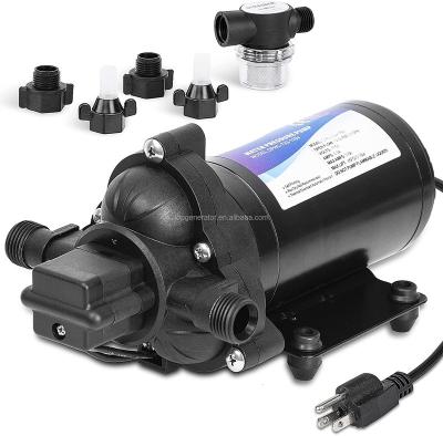 China Automotive Industry RV Water Pump FL T33 3.0 Gallons/Min (11.6 LPM) | 12 Volt DC | Self Priming Transfer Pump for RV Marine Camper Sprayer for sale