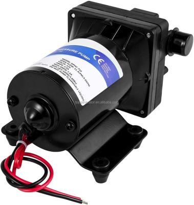 China 12V electric water pump high quality diaphragm pump/24V electric self-priming water pump for sale