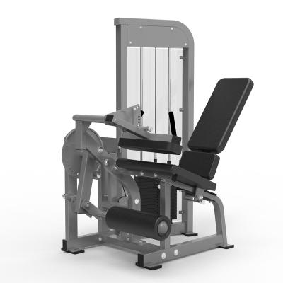 China Universal Commercial Gym Equipment 2 in 1 Double Extension 2 Mode Leg Press Machine and Leg Press for sale