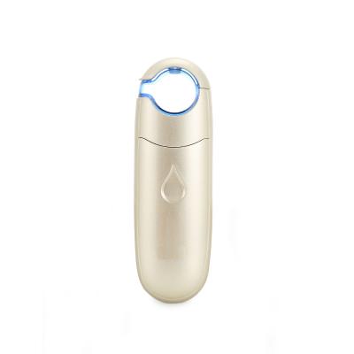 China New Moisturizer Style Electric Facial Steamer Handy USB Rechargeable Nano Facial Mist Jet for sale