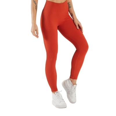 China Newest Breathable High Waisted Yoga Pants With Good Quality for sale