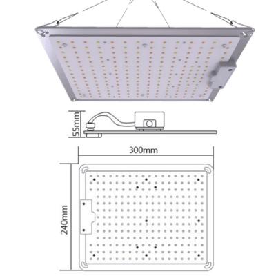 China Seed Starting 100w Hot Sale LED Grow Light Quantum Low Voltage Bulb For Tomato And Flowers for sale