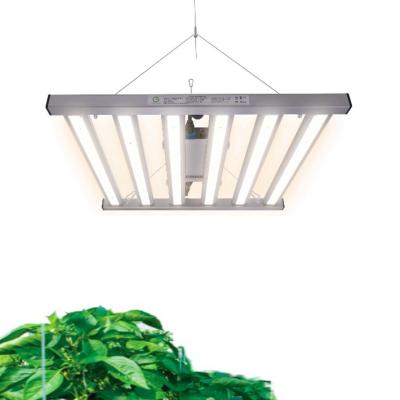 China Seed Starting Unique Design Hot Sale 330W Factory Outdoor Lighting Grow Led for sale