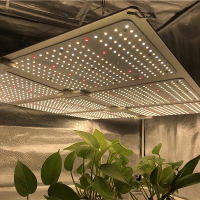 China Seed Starting Full Spectrum Led Grow Lights 600W 660W Free Shipping Led Grow Light for sale