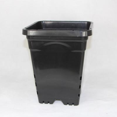 China Modern 1 Gallon 2 GallonPlastic Plant Nursery Bulk Black Pots Square Bags for sale