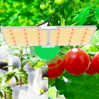 China Seed Seed Planting LED Grow Light Pre-Assembled Led Grow Light 240w Lm301b With 660nm Red Led Panels for sale