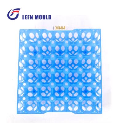 China Household Product Professional Mold Maker Plastic Injection Egg Tray Mold for sale