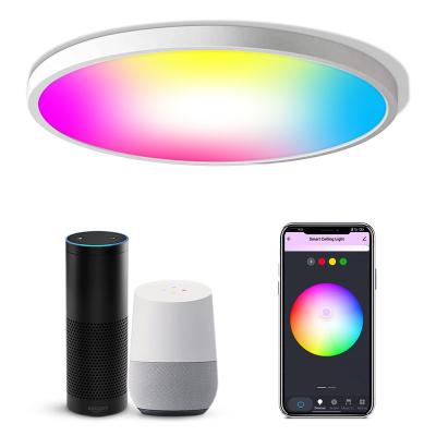 China Alexa Tuya Dimmable RGBCW 24W 1600LM Modern Smart Room Ceiling Light Sky Panel Ambient Work With WIFI APP Voice Control for sale