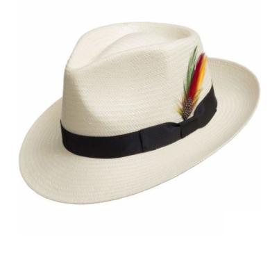 China High Quality Comfortable Vacation Accessories Min Summer Fashion Short Brim Sun Sombreros Unisex Panama Hats for sale