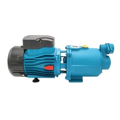 China Cheap hot-selling family homes 220V 750W single screw pump for sale