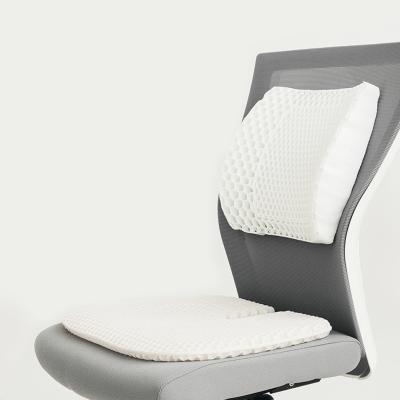 China 2020 Memory Amazon Walmart Honeycomb Design With Adjustable Straps Breath TPR Back Support Cushion Car Seat Home Office Chair for sale