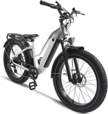 China Aluminum Alloy Fat Tire Electric Bike Ebike For Adults, 750W Motor, 26 Inch Detachable 48V16AH Battery Mountain Road Electric Bike newstyle for sale