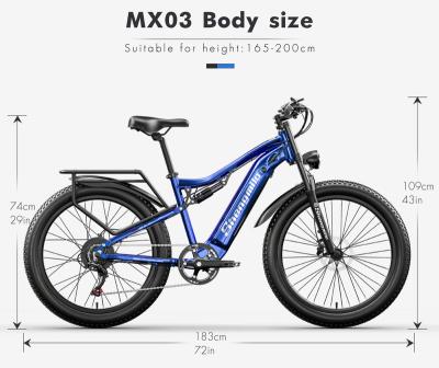 China BLJ aluminum alloy ebike front a rear dual oill brake system strong power and battery to ride pleasure electric bike for adult for sale