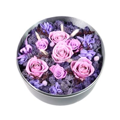 China Green Environmental Protection Newly Preserved Flower Box Natural Pink Flowers Preserved Flower Rose for sale