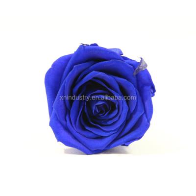 China Best Seller Green Environmental Protection A Grade 5-6cm Royal Blue Flower Preserved Rose Heads for sale