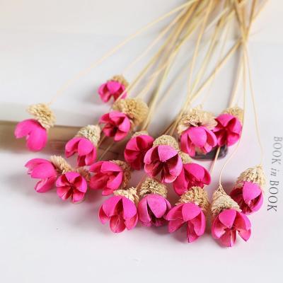 China Natural touch dried flowers for home decoration artificial handcraft dried pistachio flower for sale