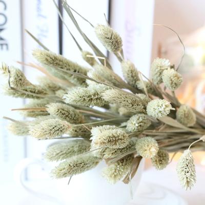 China Touch Flower Decoration DIY Material 30pcs/bag Natural Natural Dry Phalaris Mini Flower Small Gem Grass for sale